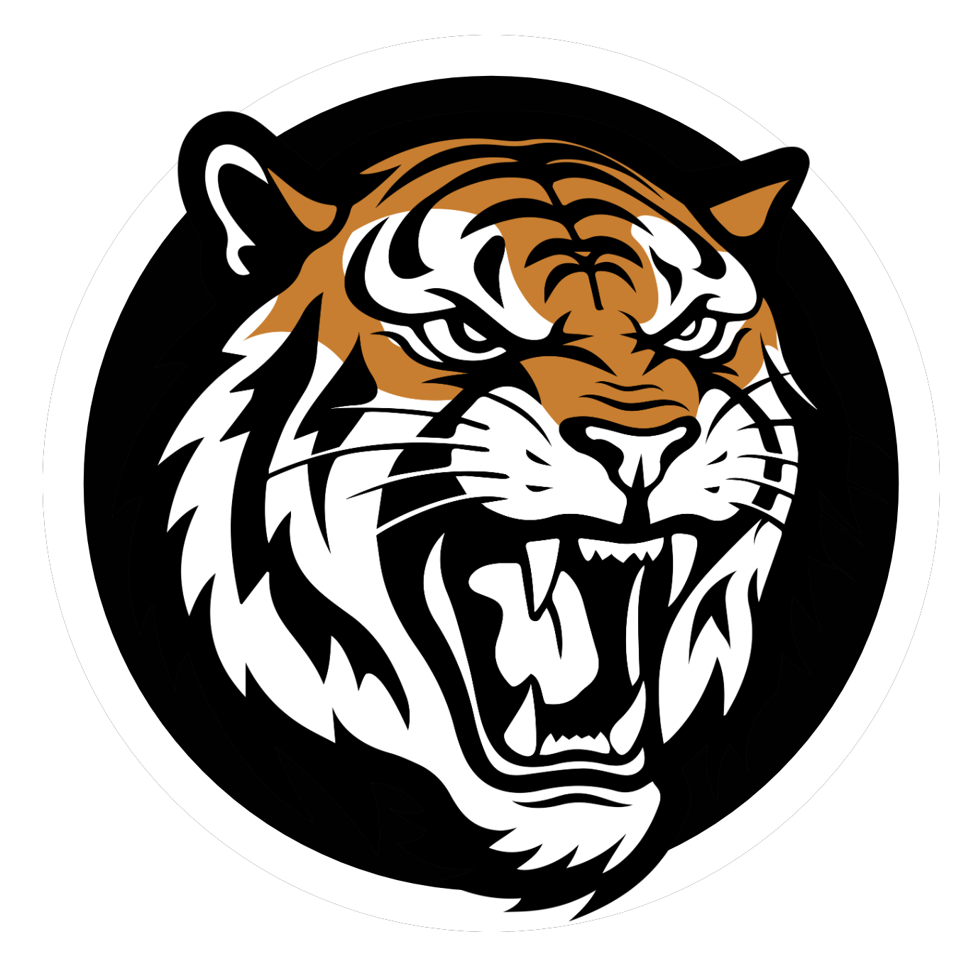 IRONHAVEN SUPPLEMENTS LLC